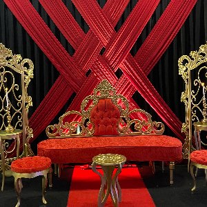 Begüm Kocaali Organizasyon