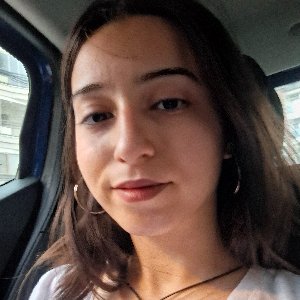 Begum Sinik