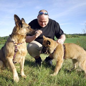 Beyaz Ev Köpek Eğitim Merkezi 