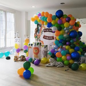 Blueberry Event House