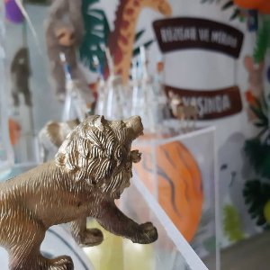 Blueberry Event House