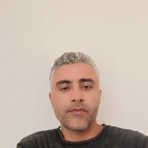 Bülent Tekin