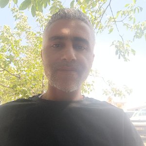 Bülent Tekin