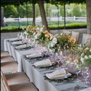 Db Grup Organizasyon 