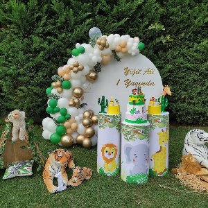 Derin Meva Organizasyon