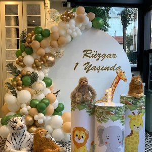 Derin Meva Organizasyon