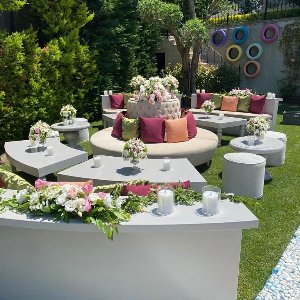 Doruklarda Tat Organizasyon