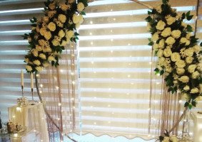 Dreamland Organizasyon