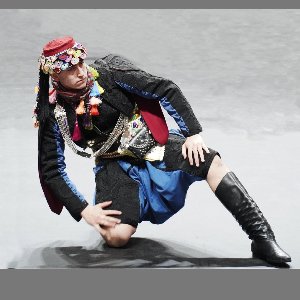 Hanedans Organizasyon