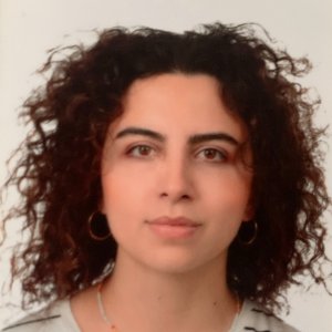 Elif Dinç