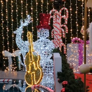 Emotion Organizasyon