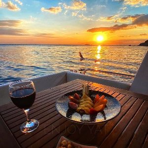 Enjoy Yat & Organizasyon