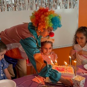 Galaksi Organizasyon