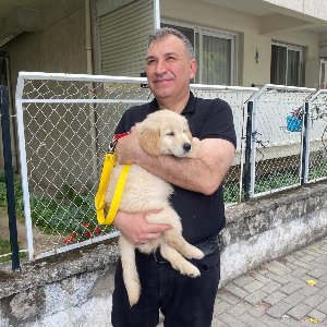 Gökhan Karadoğan
