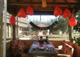 Gülümset Organizasyon