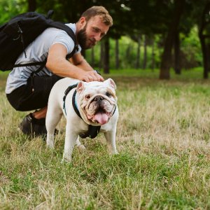 Güzelbahçe Dog Club 