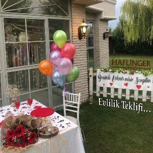 Haflinger Çiftliği