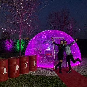 Haflinger Çiftliği