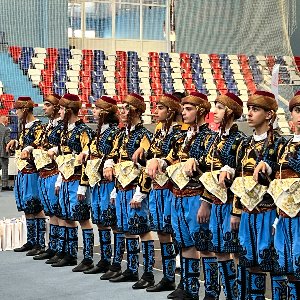 Hanedans Organizasyon