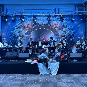 Hanedans Organizasyon