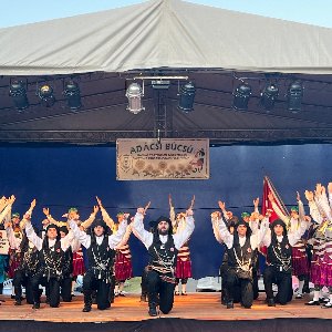 Hanedans Organizasyon