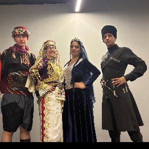 Hanedans Organizasyon