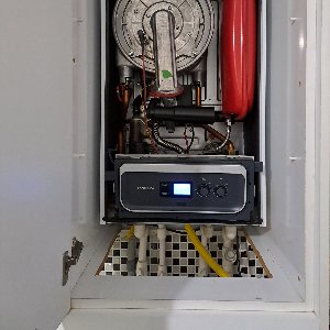 Hasan Hüseyin  Sayar