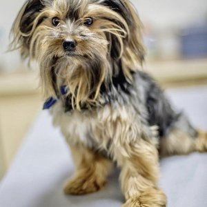 İpek Tok Fotoğrafçılık