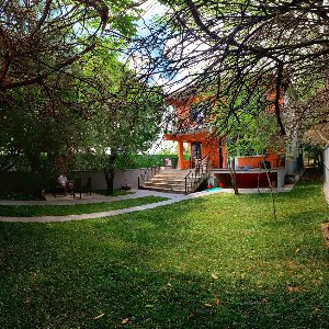 Murphy Köpek Eğitimi