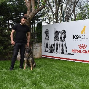K9 Koleji