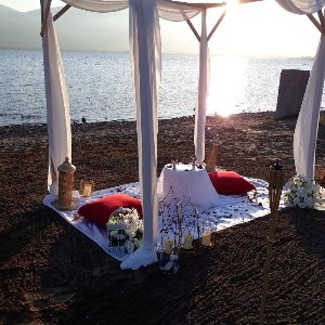 Kartepe Masal Organizasyon