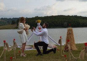 Konsept Organizasyon