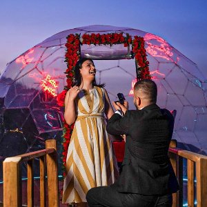 Love Dome Organizasyon