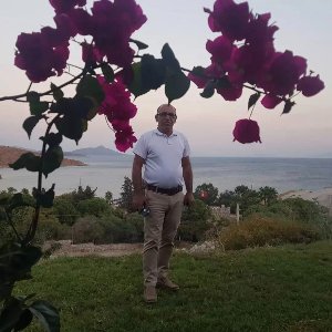 Mecit Yalçın