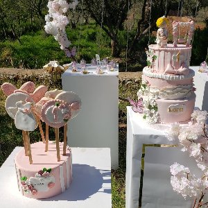 Mels Parti Organizasyon