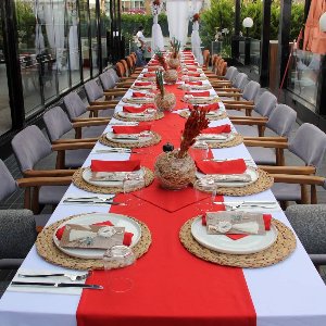 Mels Parti Organizasyon