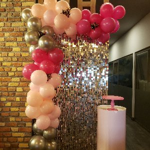 Mels Parti Organizasyon