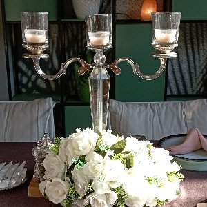 Mels Parti Organizasyon