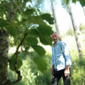 Nihat Çelik