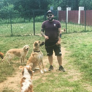 Köpek Eğitmeni Nuri