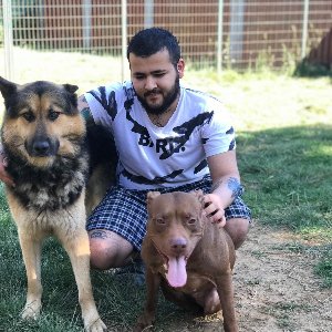 Köpek Eğitmeni Nuri