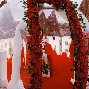 Organizasyon Kapadokya