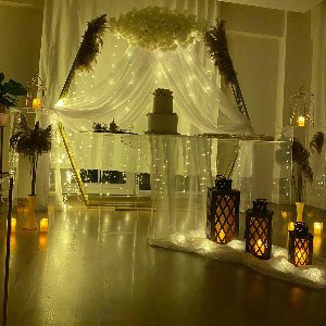 Mavi Kelebek Organizasyon