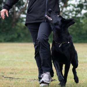 Pati Eğitim Merkezi