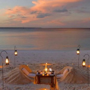 Phedra Tasarım Ve Organizasyon