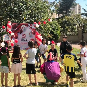 Phedra Tasarım Ve Organizasyon