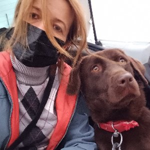 Pozitive Dog Training