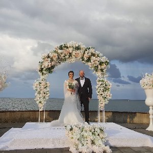 Procate Organizasyon