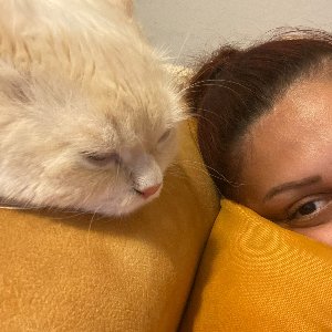 Mırmır Kedi Köpek Oteli