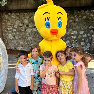 Şanslı Organizasyon